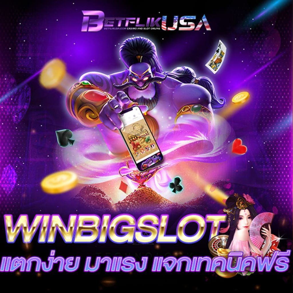 WINBIGSLOT